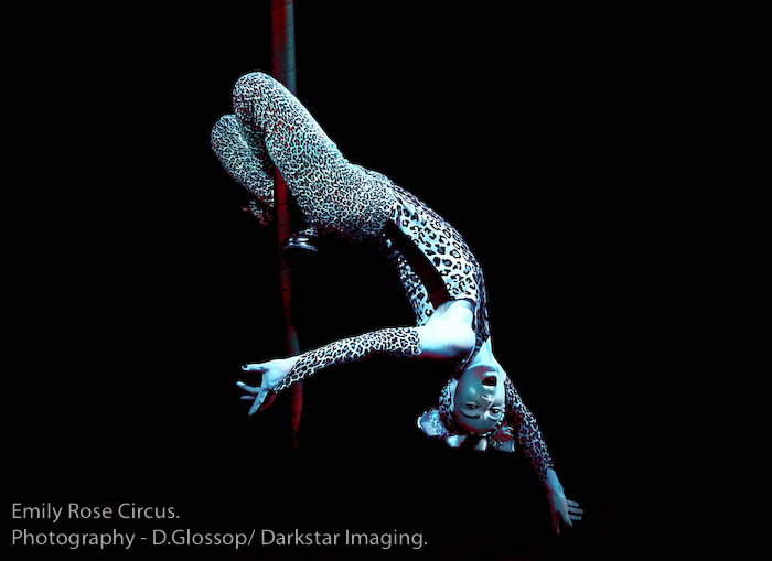 Emily Rose as Stray Cat on Chinese Pole in photo shoot with Darkstar Imaging